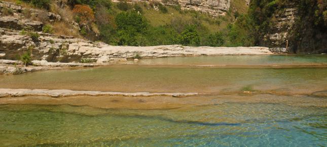 Suesswasser Bild auf Leinwand