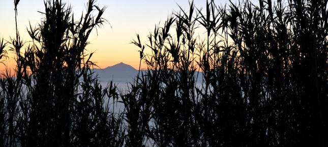 El Teide Bild auf Leinwand