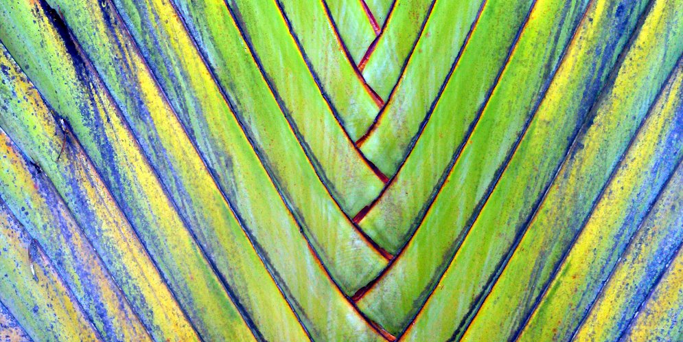 Exotisches Blatt Leinwand