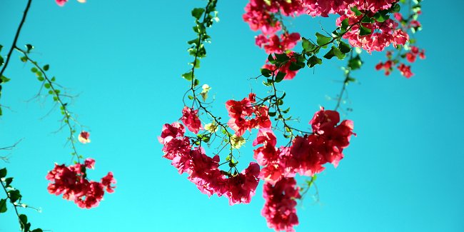 Freundschaft Freundschaft