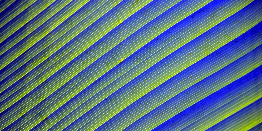 Geradlinigkeit Leinwand
