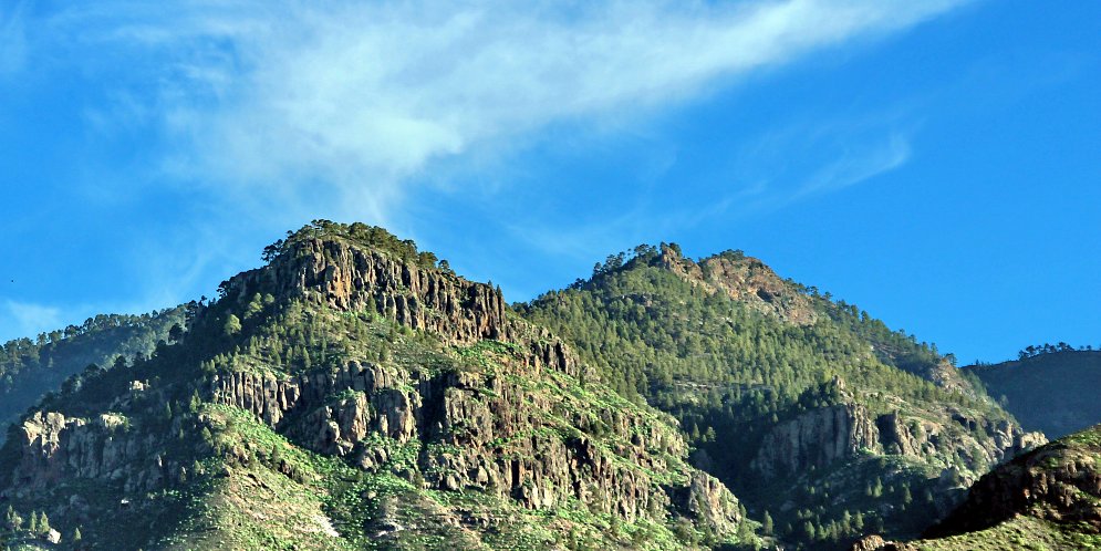 Gruene Berge Leinwand