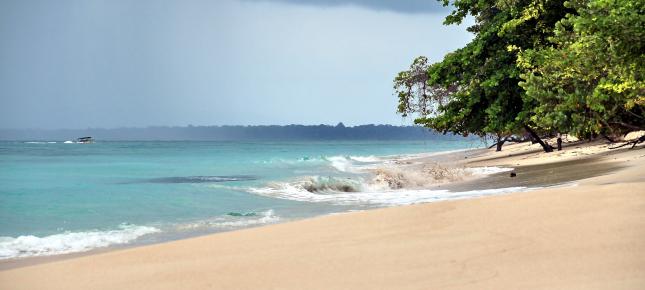 Karibischer Strand Bild auf Leinwand