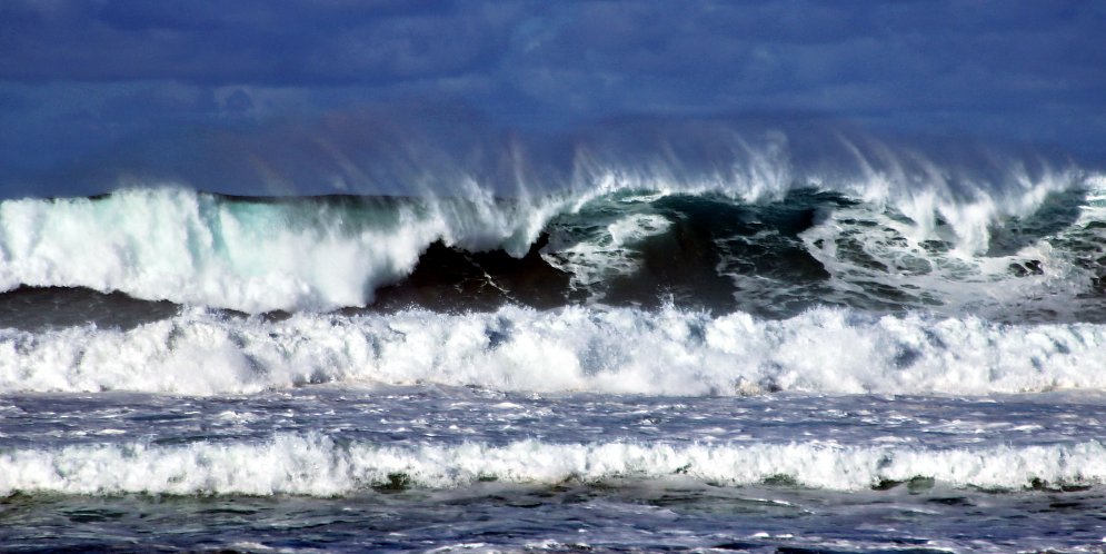 Lebendiges Meer Leinwand