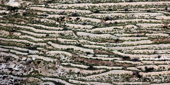 Linien Linien