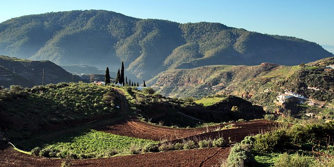 Mediterrane Landschaft