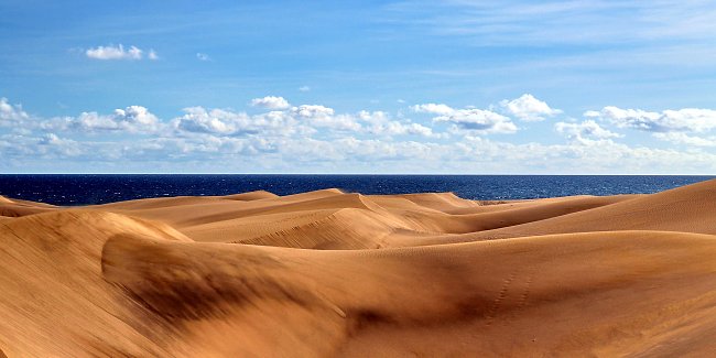 Sandwueste Sandwueste