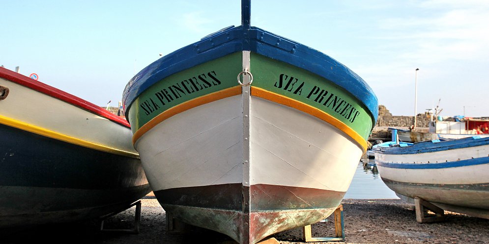 Sea Princess Leinwand