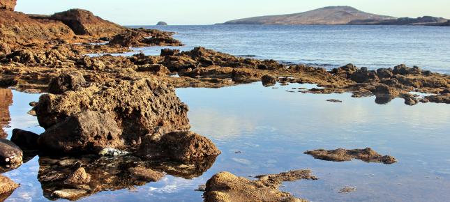 Steine im Wasser Bild auf Leinwand