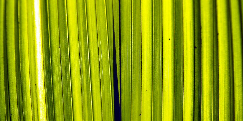 Willenskraft Leinwand