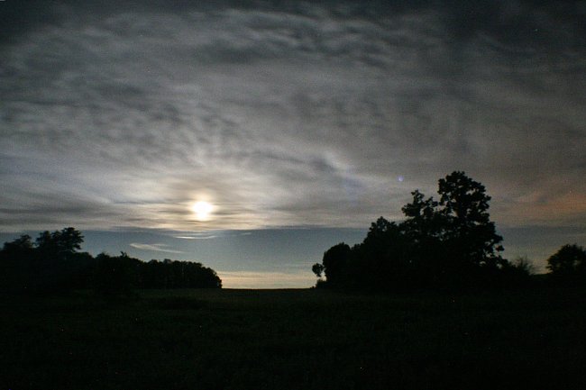 Abendhimmel Buesche Abendhimmel Buesche