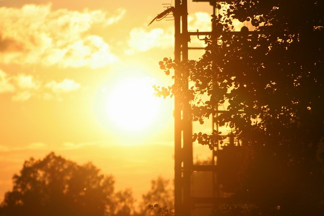 Abendlicht Abendlicht