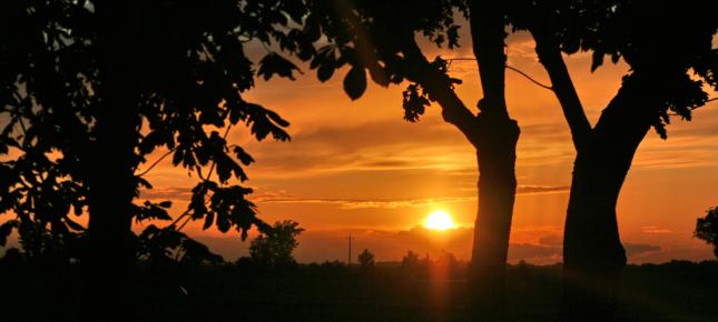 Abendrot Landschaft Bild auf Leinwand