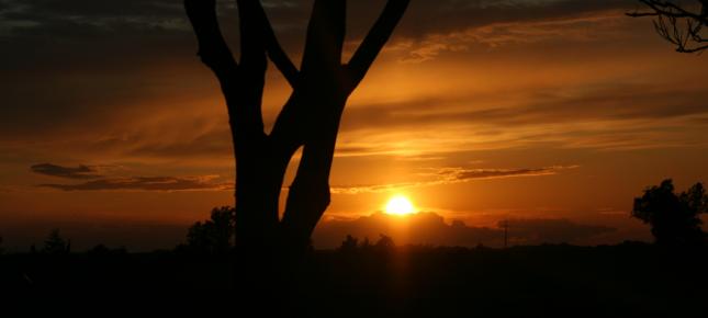 Abendstimmung Daemmerung Bild auf Leinwand