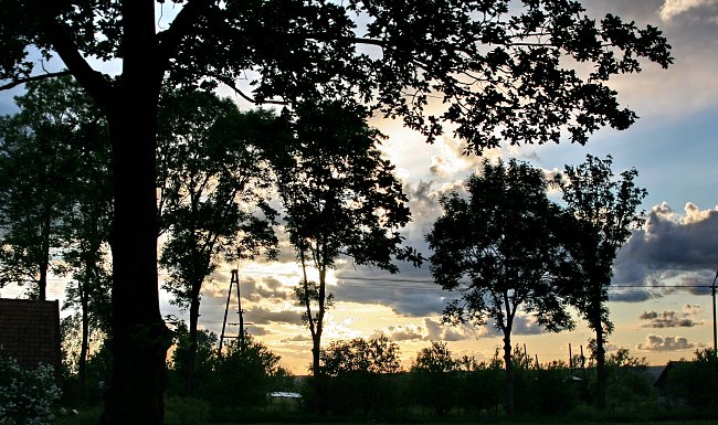 Daemmerung Silhouetten Daemmerung Silhouetten