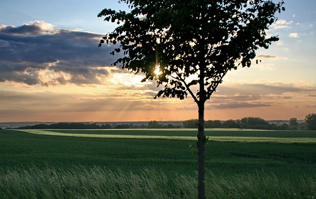 Ebene Ostdeutschland