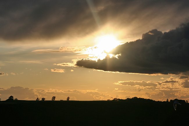 Gegenlicht Abendstimmung