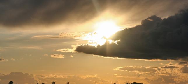 Gegenlicht Abendstimmung Bild auf Leinwand