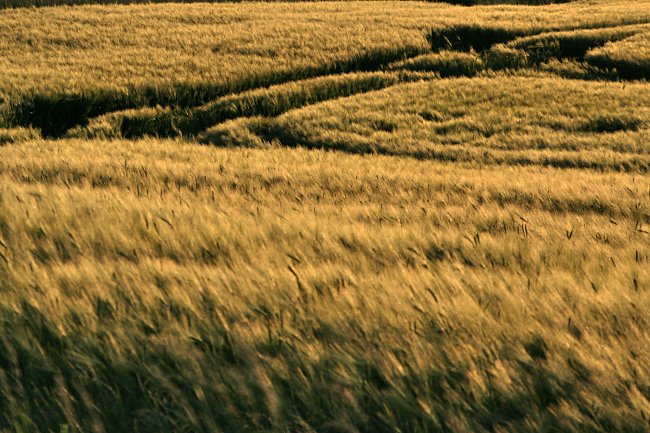 Landschaft Mecklemburg Vorpommern