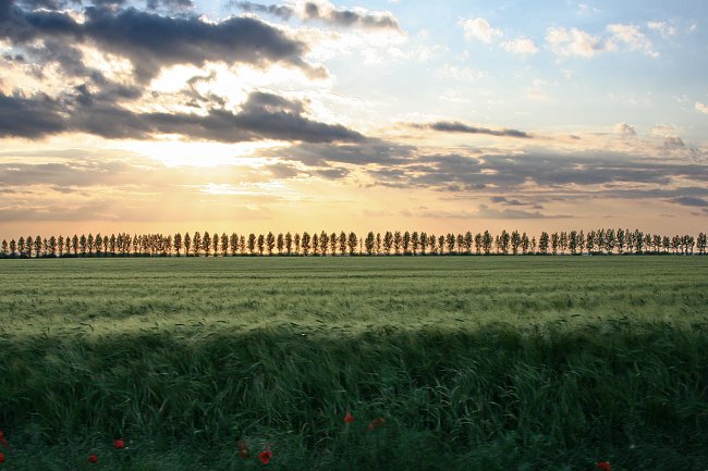 Ostdeutschland Landschaft