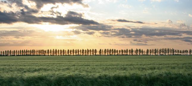 Ostdeutschland Landschaft Bild auf Leinwand