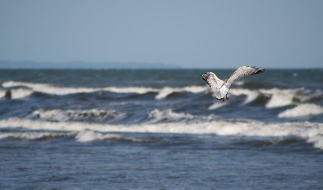 Usedom Wellen