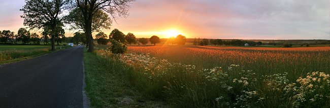 Weite Wiesen Weite Wiesen