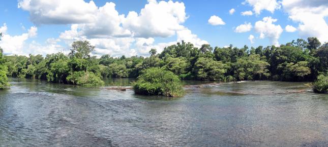 Amazonas Bild auf Leinwand