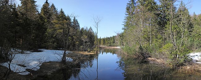 Bach im Bergwald Bach im Bergwald