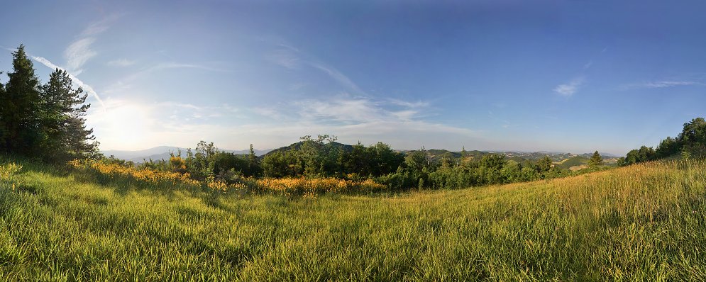 Bluehende Landschaft Leinwand