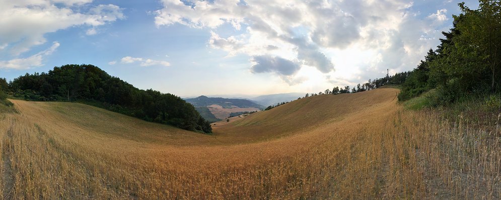 Huegellandschaft Italien Leinwand