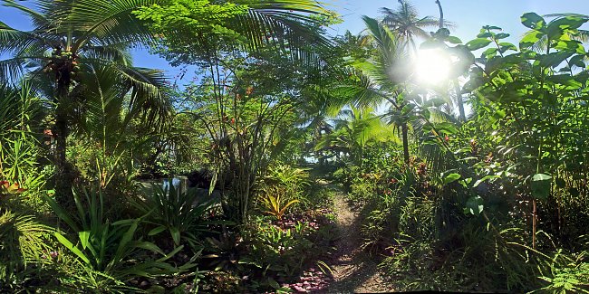 Lebenstraum Lebenstraum