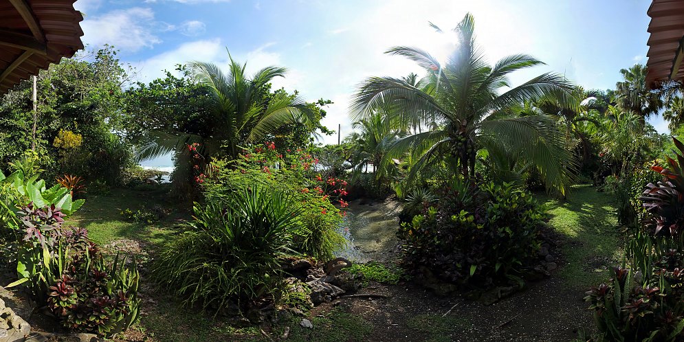 Palmengarten Leinwand