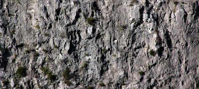 Stein Bild auf Leinwand