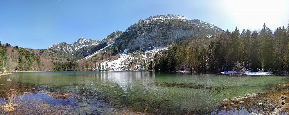 Tannen am Bergsee Leinwand