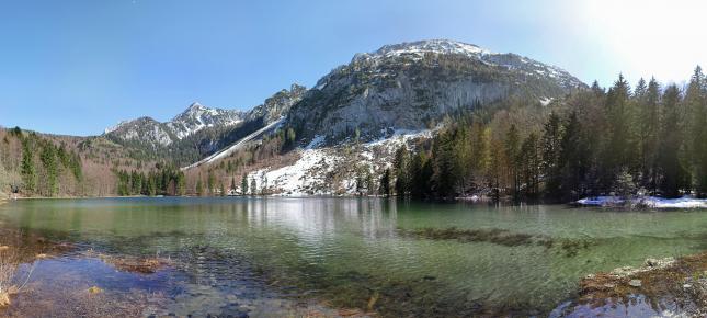 Tannen am Bergsee Bild auf Leinwand