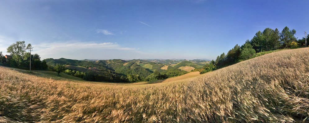 Toscana Felder Leinwand