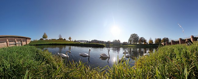 Wiese am Ufer Wiese am Ufer