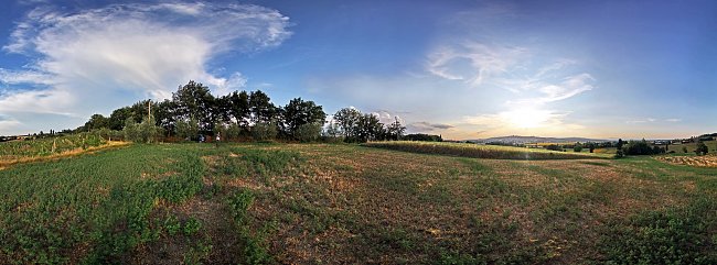 Wiesenlandschaft